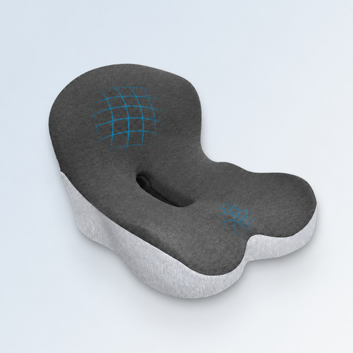 The Seat Therapy Cushion