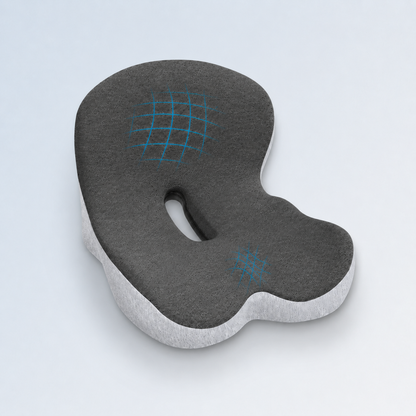 The Seat Therapy Cushion