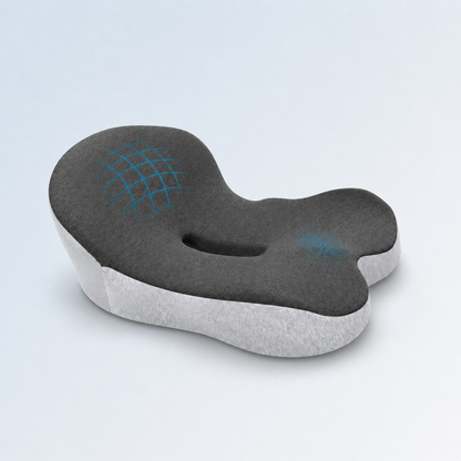 The Seat Therapy Cushion