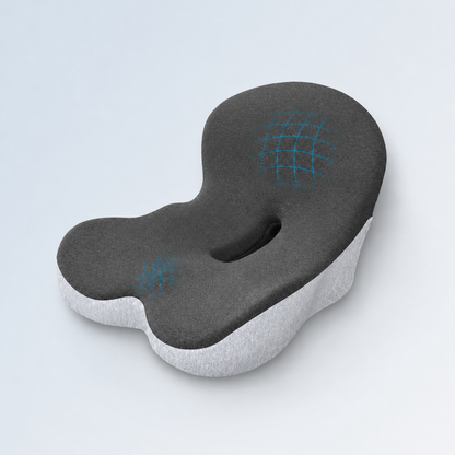 The Seat Therapy Cushion